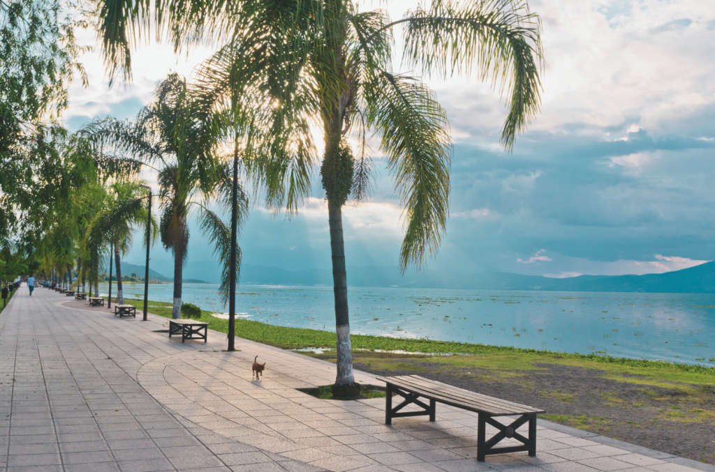 Peaceful walkway lined with palm trees along the shore of Lake Chapala in Ajijic, Mexico.