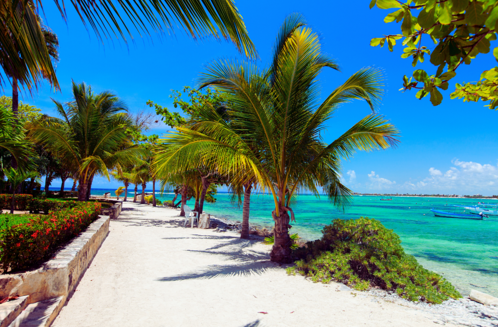 A scenic beach path lined with palm trees and lush greenery, overlooking the clear turquoise waters of Akumal, Yucatan Peninsula.