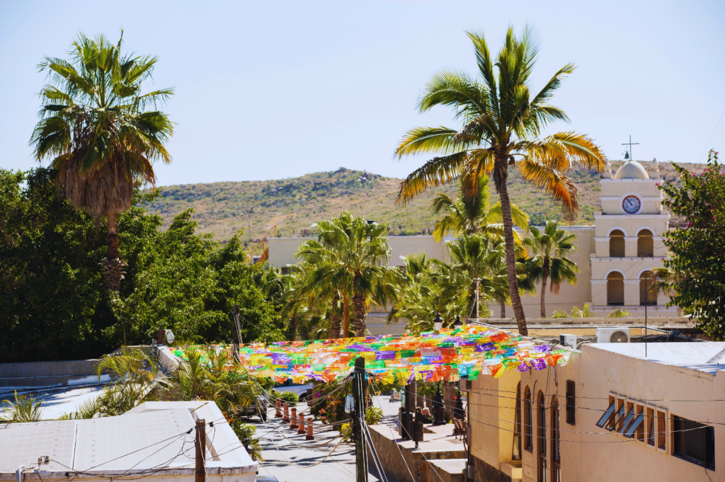 Palm trees and colorful decorations adorn the streets of Todos Santos, with a hillside and clock tower in the background.